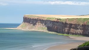 To Love, Honour and Obey by Valerie Holmes