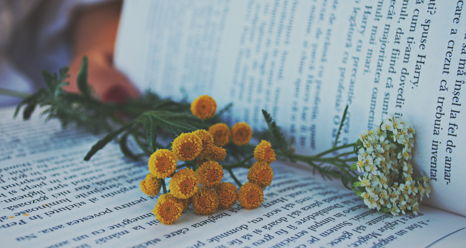 Sapere Books Sign Three Contemporary Romances by Natalie Kleinman