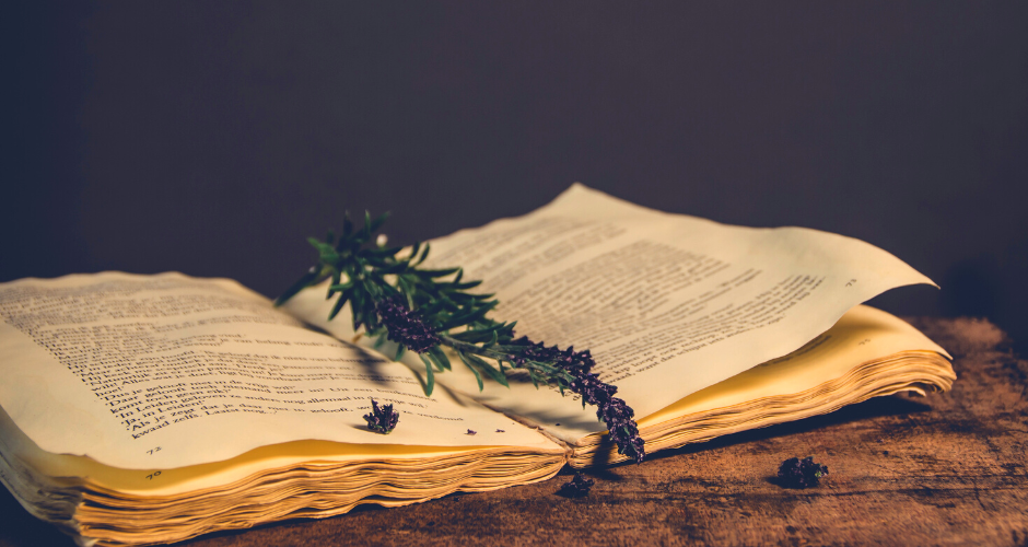 Sapere Books Sign a New Historical Mystery Series by Rose M Cullen