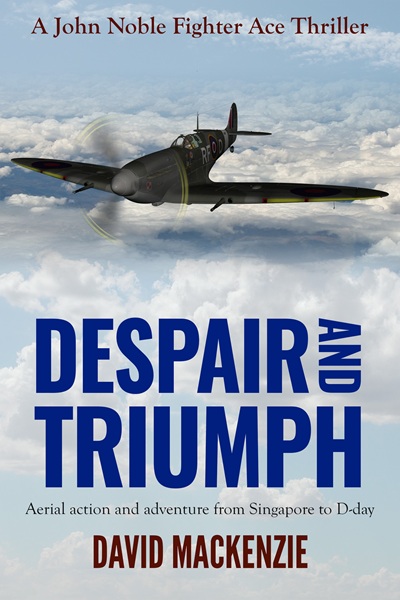 Despair and Triumph (John Noble Fighter Ace Thrillers Book 3)